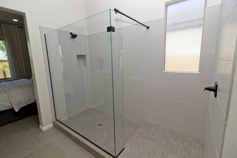 Glass Shower Door